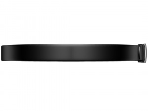 Belt Leather 3D Модель