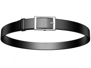 Belt Leather 3D Model