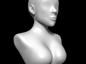 Mannequin head Model 3D