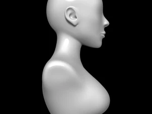 Mannequin head 3D Model