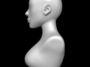 Mannequin head Model 3D