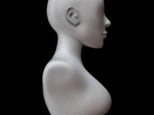 Mannequin head 3D Model