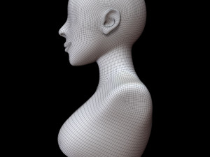 Mannequin head Model 3D