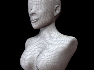 Mannequin head Model 3D