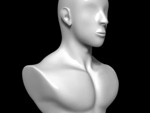 Mannequin Head 3D Model
