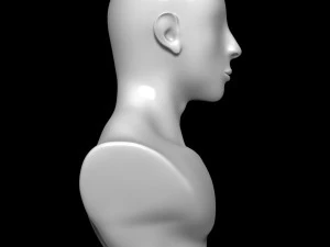 Mannequin Head 3D Model
