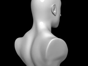 Mannequin Head 3D Model