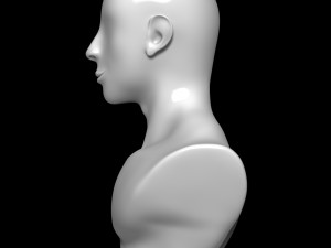Mannequin Head 3Dモデル