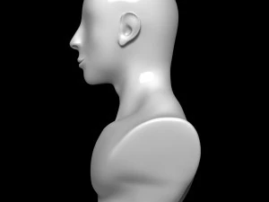 Mannequin Head 3D Model