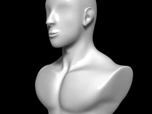 Mannequin Head 3D Model