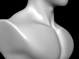 Mannequin Head 3D Model