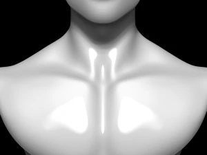 Mannequin Head 3D Model