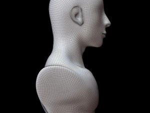 Mannequin Head 3D Model