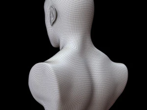 Mannequin Head 3D Model