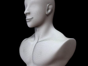 Mannequin Head 3D Model