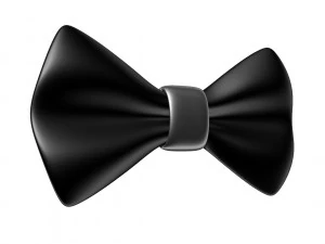 Bow Tie 3D Model