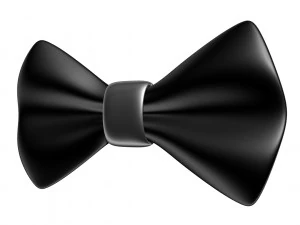 Bow Tie 3D Model