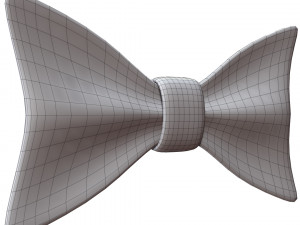 Bow Tie 3D Model