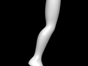 Mannequin Foot 3Dモデル