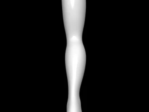 Mannequin Foot 3D Model