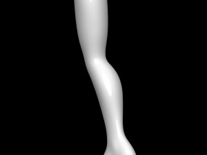 Mannequin Foot 3D मॉडल