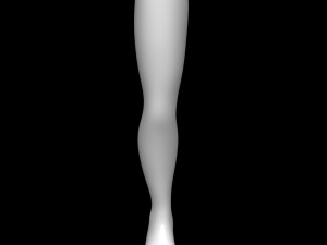 Mannequin Foot 3D मॉडल