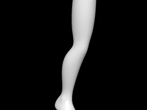 Mannequin Foot 3D Model