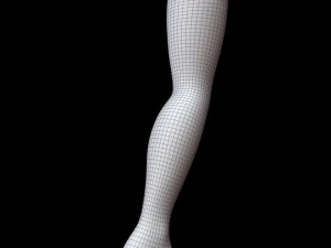 Mannequin Foot 3D Model