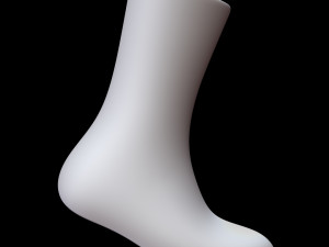 Long Sock 3D Model