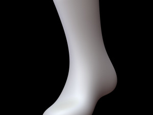 Long Sock 3D-Modell