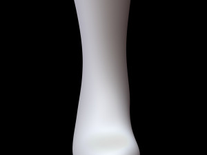 Long Sock 3D-Modell