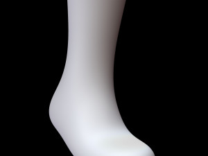 Long Sock 3D-Modell