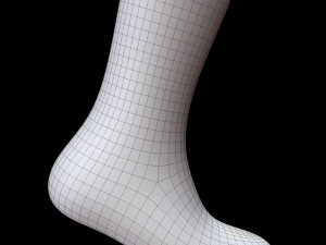 Long Sock 3D-Modell