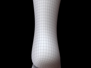 Long Sock 3D-Modell