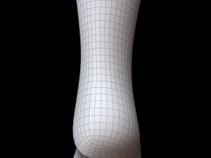 Meia Longa Modelo 3D