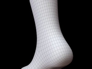 Long Sock 3D-Modell