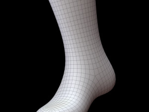 Long Sock 3D-Modell
