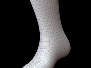 Meia Longa Modelo 3D