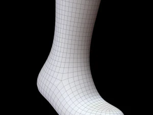 Meia Longa Modelo 3D