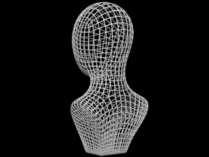 Mannequin Head Wire 3D Model