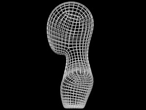 Mannequin Head Wire 3D Model