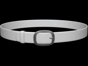 Riem leer 3D Model