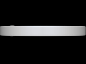 Belt Leather 3D Model