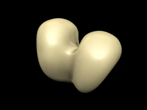 Bone Skeleton 3D Model