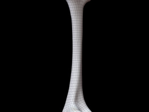 Bone Skeleton 3D-Modell