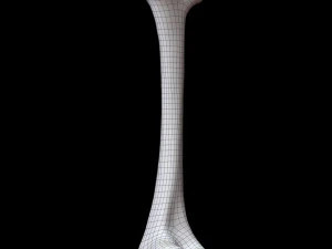 Bone Skeleton 3D Model