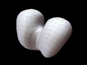 Bone Skeleton 3D-Modell