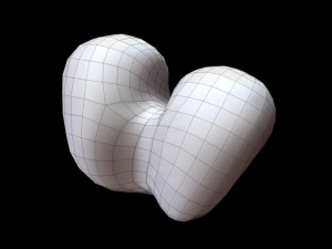Bone Skeleton 3D Model