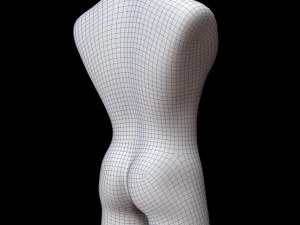 Mannequin Male 3D Model