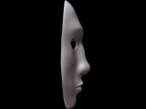 Mask Half Wired 3D Model